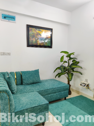 2-Bedroom Furnished Family Apartment rent in Bashundhara R/A